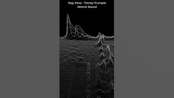 Stay mine - Timmy Trumpet, Afrojack | Music Visualisation #shorts