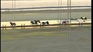 Strathalbyn-20032015-Race-9