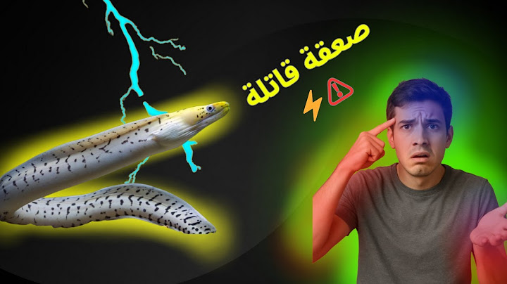 أخطر سمكة في العالم… تصعق فريستها بالكهرباء ! 😱⚠