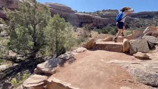 IMG 4616