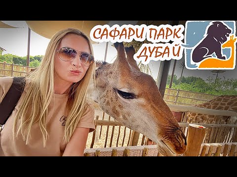 🐾 АФРИКАНСКОЕ САФАРИ в Дубае 🐾| SAFARI PARK | Что посмотреть в Дубае