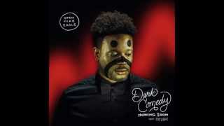 Video thumbnail of "Open Mike Eagle - Dark Comedy Morning Show feat. Toy Light"
