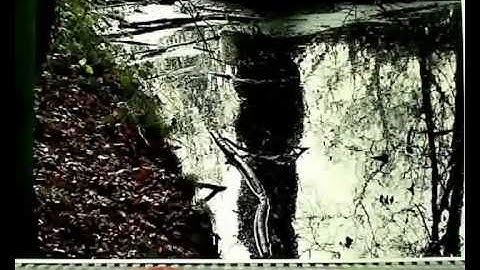 Never Judge a book by its cover