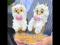 Youtube Thumbnail title