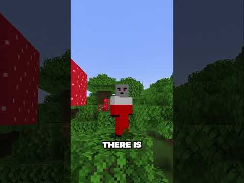 Minecraft's Title Screen