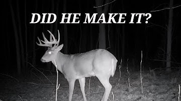 Clearing Brush, Setting Trail Cams & Prepping for Whitetail Archery Season | Deer Hunting Tips