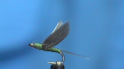 Beginner Fly Tying a No Hackle BWO with Jim Misiura