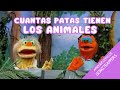 Aprende Cuantas Patas Tienen los Animales / video educativo para niños