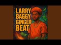 Larry Baggy Ginger Beat 