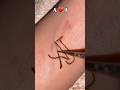 Who is next ❤️subscribe for more videos 🔥💕 #mehndi #henna #tattoo #transition #shorts #viral #art
