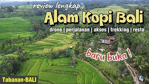 Review lengkap tempat makan tengah alam view sawah terasering. ALAM KOPI BALI, restoran baru buka