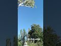 Херсон. КАБ в передмістя 12.08.25