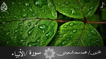 سورة الأنبياء بصوت القارئ / محمد سعد السعودى