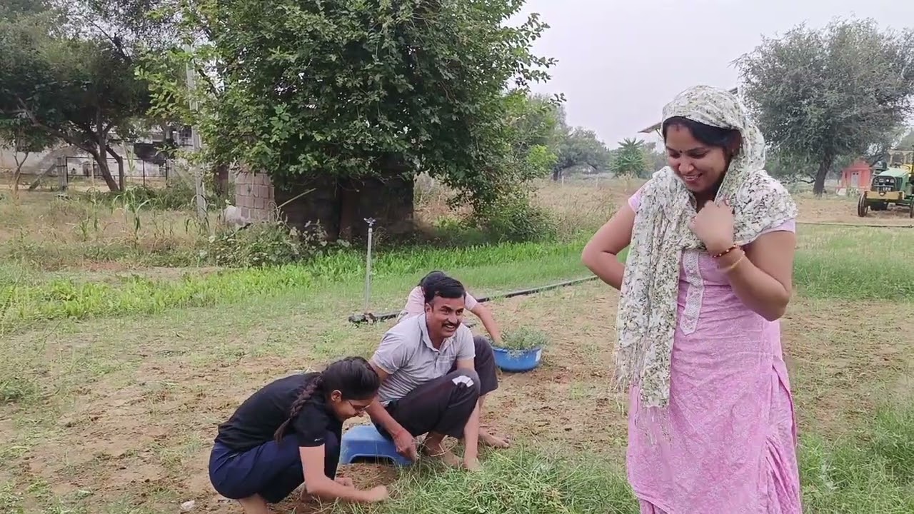 सुबह सुबह लग गए काम//✅💯 फौजी साहब सभी को काम पर लगा दिया सुबह सुबह//#shekhawatistudios