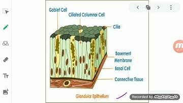ClassIX Science 28 05 2020 by Ms Mridulata Upadhyay
