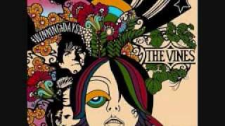 The Vines- Evil Town