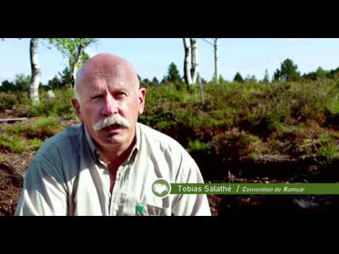 Le monde secret des tourbières - Ramsar