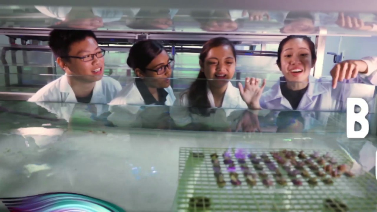 Discover Your Potential at Republic Poly!