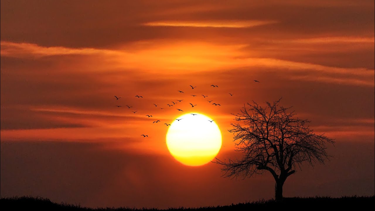 Joblack - Aligbontor