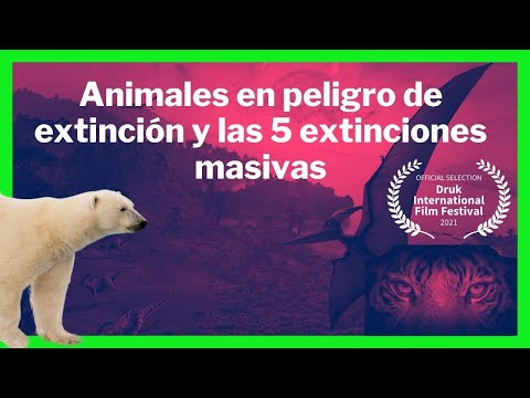 Vídeo: El Mundo Está Amenazado Por La Mayor Extinción De Los últimos 252 Millones De Años - Vista Alternativa