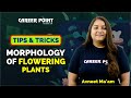 Tips & Tricks- Morphology Of Flowering Plants | Avneet Ma'am | Career Point Kota