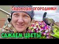 Дождь нам не помеха в стремлении к красоте.