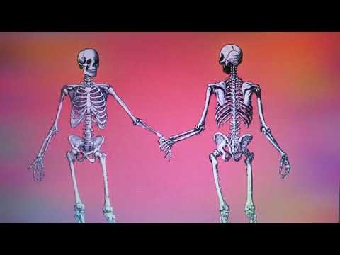 Anubis Sound Temple Cosmic Dance
