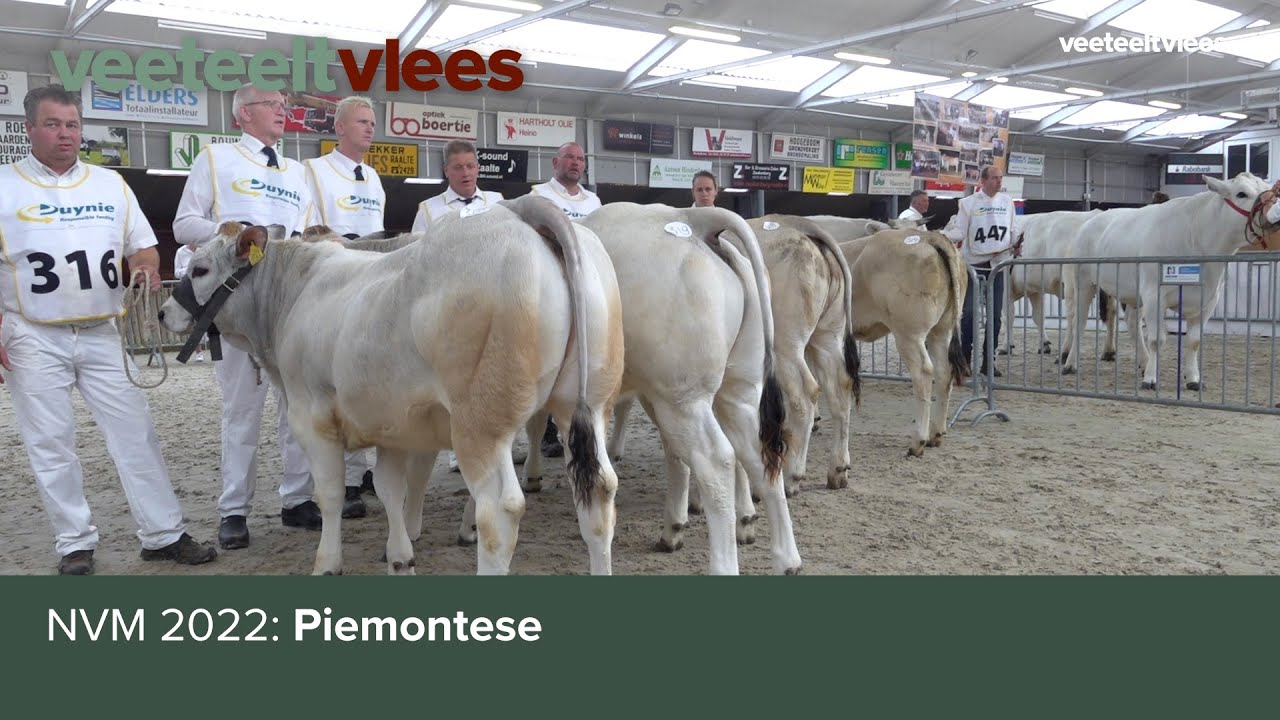 NVM 2022: piemontees