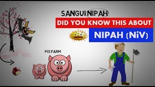 ⁣Facts NOT be missed about Nipah Virus || Real facts only || (हिंदी)