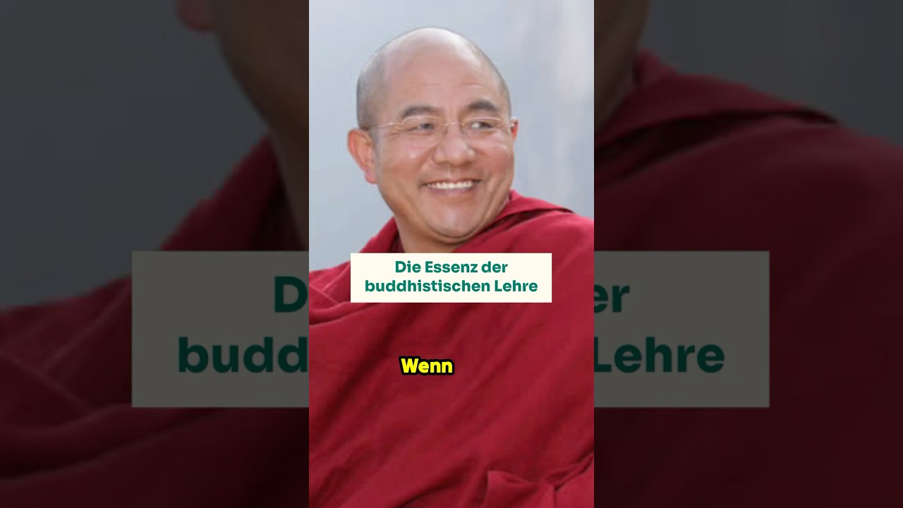 Der Kern des Buddhismus in 3 Sätzen: Die Lehre aller Buddhas ☸️