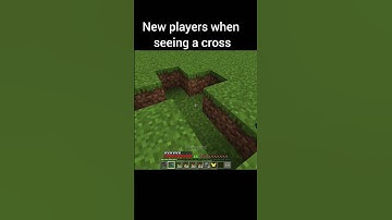 New players and Old players when seeing a Cross #minecraft