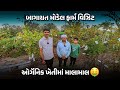 ઓર્ગેનિક ખેતીમાં TCBT શું છે? સંપૂર્ણ માહિતી ગુજરાતીમાં 🤑