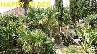 🌞 Sun-kissed UK tropical garden 🌴  - our exotic self-created paradise 🍹- summer 2023 tour 😍 by UNIQUE LIFE DESIGN 1,185 views 8 months ago 41 minutes