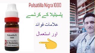Pulsatilla Nigra 1M ll Symptoms Benefits & use ll Dr Asad Abbas