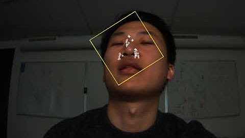 Face Tracking using KLT Algorithm