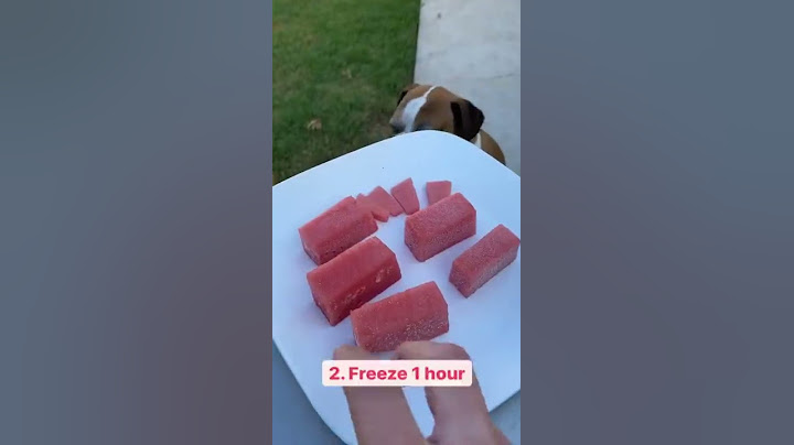 How to make watermelon ice dog treats! #shorts