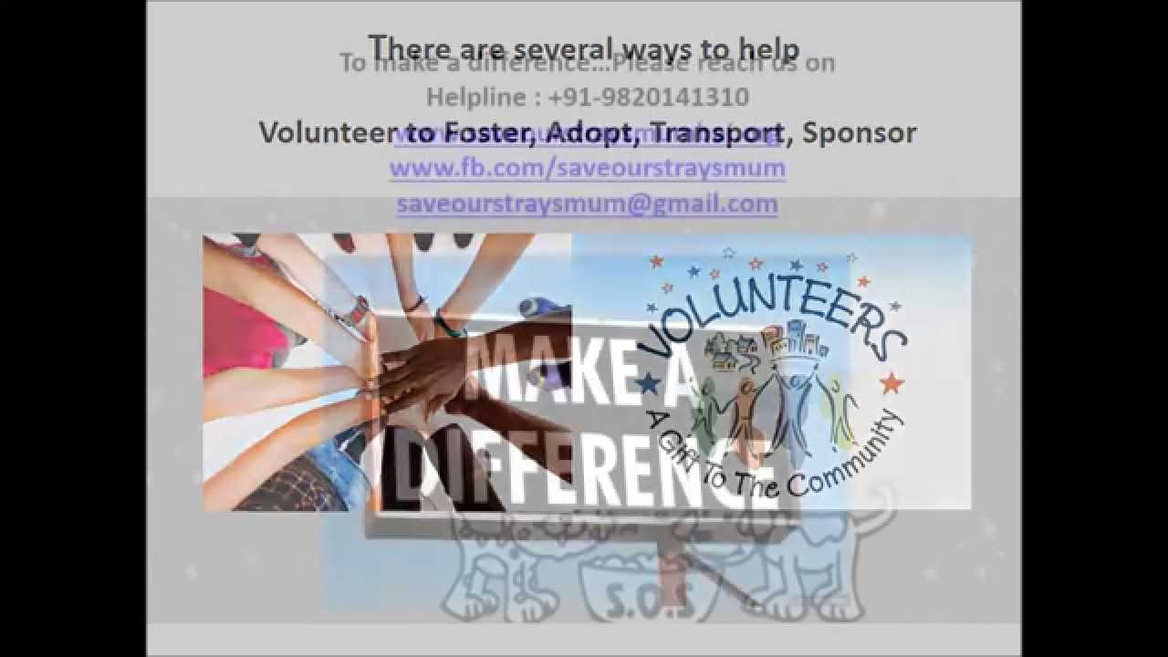 10 years of SAVE OUR STRAYS (fb.com/saveourstraysmum)