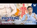 Lebenselixier Proteine: Ein Proteinmangel kann fatal sein! So funktioniert das Wunderwerk Eiweiß!