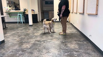 Stacia Hill, lesson 16, exercise 16.3: Video 1 (generalize a portion of your 10-part chain)