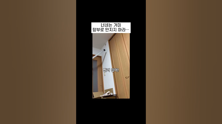 너네는 거미 함부로 만지지 마라… 순식간에 잡아채서 땅속으로 끌고감ㅋ #일본예능  #일본 #일본어 #일본어공부 #예능 #거미 #가족