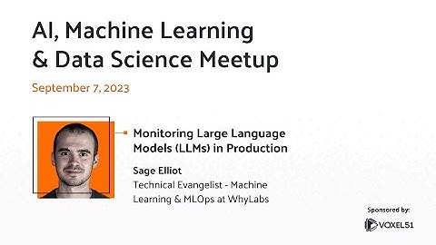 Computer Vision Meetup: Monitoring Large Language Models (LLMs) in Production