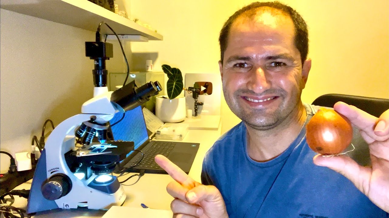 COMO É AS CÉLULAS DAS PLANTAS NO MICROSCÓPIO