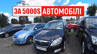 Вибираємо автомобіль в Луцьку за 5000$