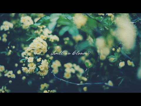 「𝒔𝒉𝒂𝒍𝒍 𝒘𝒆 𝒃𝒍𝒐𝒐𝒎?」 – new album announcement!