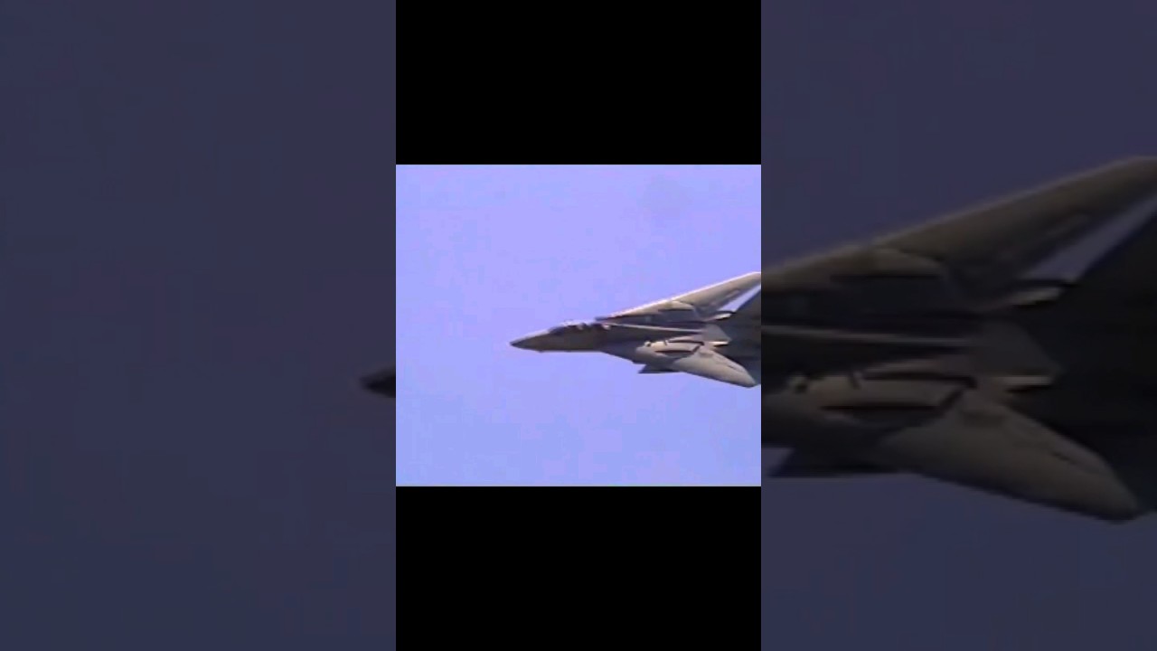Buzzed by an F-14A Tomcat! 😱 VF-101 Grim Reapersn! 