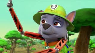 Paw Patrol - Parroting Pups - Rockys Hammer Clip