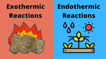 Exothermic vs Endothermic Chemical  Reactions