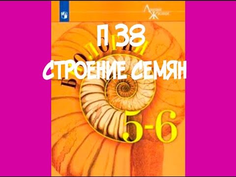 5-6 КЛАСС П 38 СТРОЕНИЕ СЕМЯН / СЕМЯДОЛИ / ЗАРОДЫШ / СЕМЕННАЯ КАЖУРА / РУБЧИК /  ЭНДОСПЕРМ /