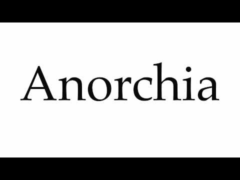 How to Pronounce Anorchia