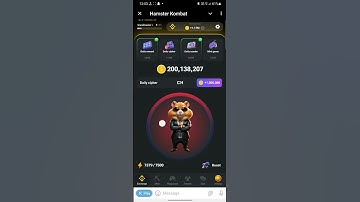 Hamster Kombat Daily Cipher Morse Code for August 7, 2024